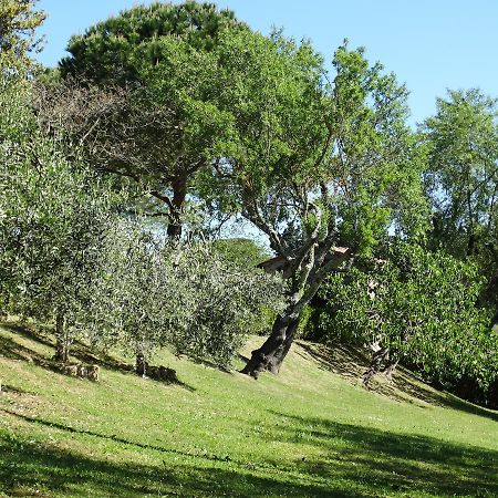 Santa Maria Della Pace Bed & Breakfast Montespertoli Eksteriør bilde