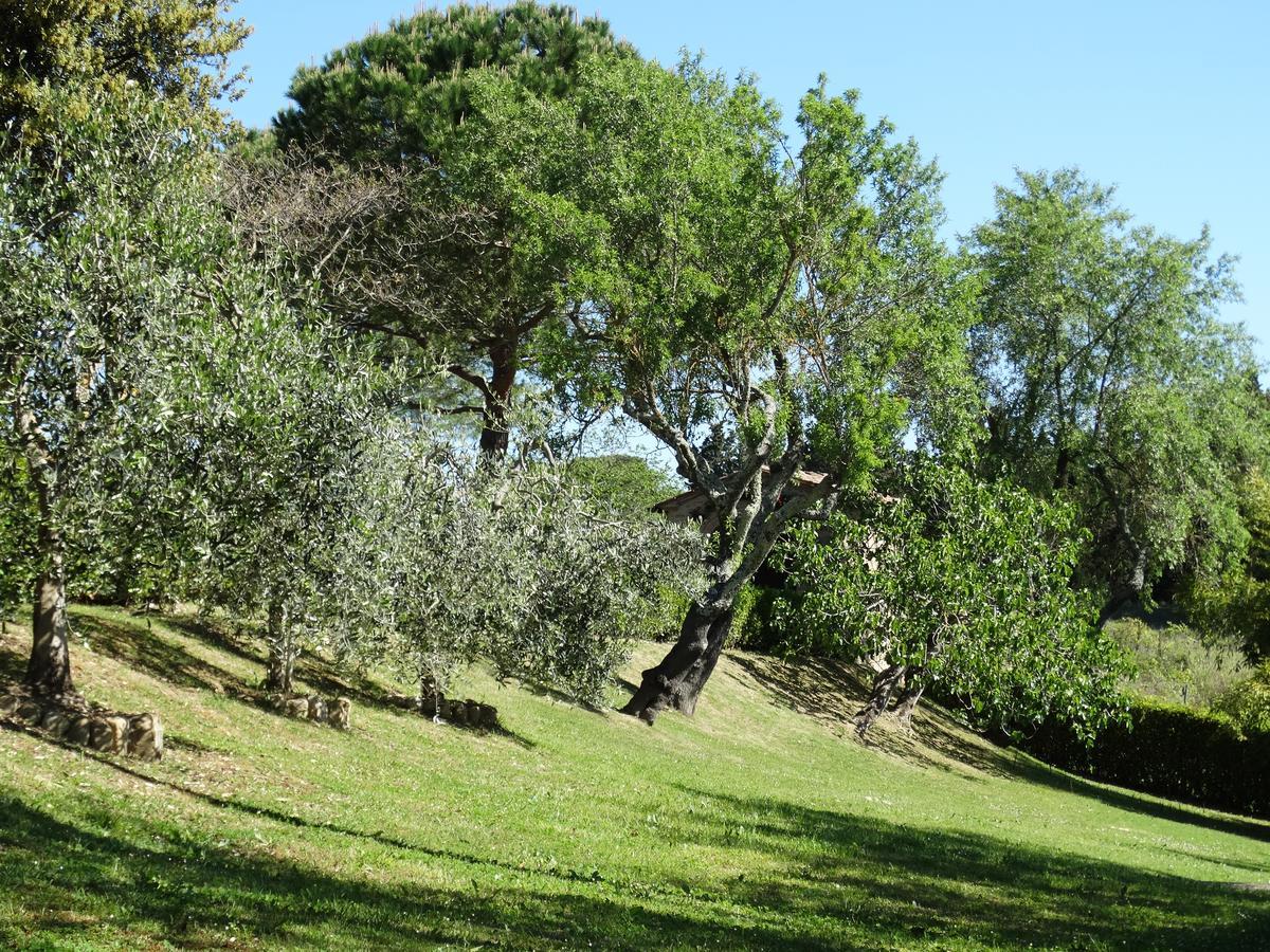Santa Maria Della Pace Bed & Breakfast Montespertoli Eksteriør bilde